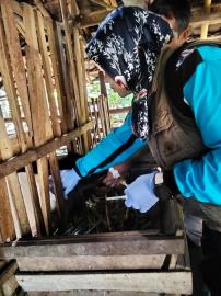 Posyandu Hewan Padukuhan Klepu